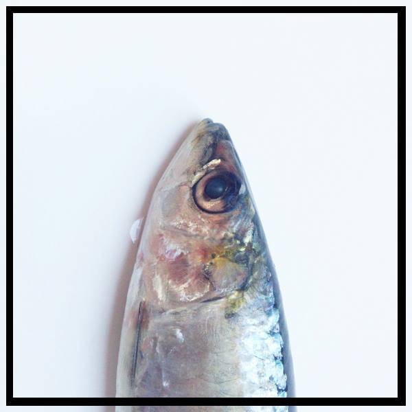 La Lata de Sardinas